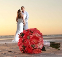 Captivating Coral beach wedding theme Captivating Coral beach wedding theme