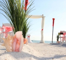 Captivating Coral beach wedding theme Captivating Coral beach wedding theme