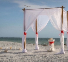 Captivating Coral beach wedding theme Captivating Coral beach wedding theme
