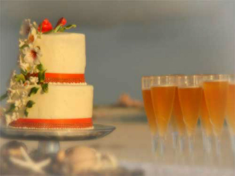 Florida Beach Weddings and Reception Packages