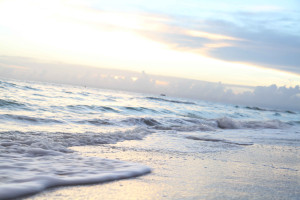 Florida wedding themes