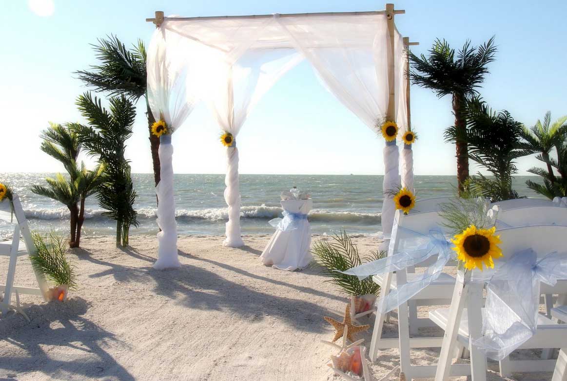sunflower beach wedding themes - sunflowers