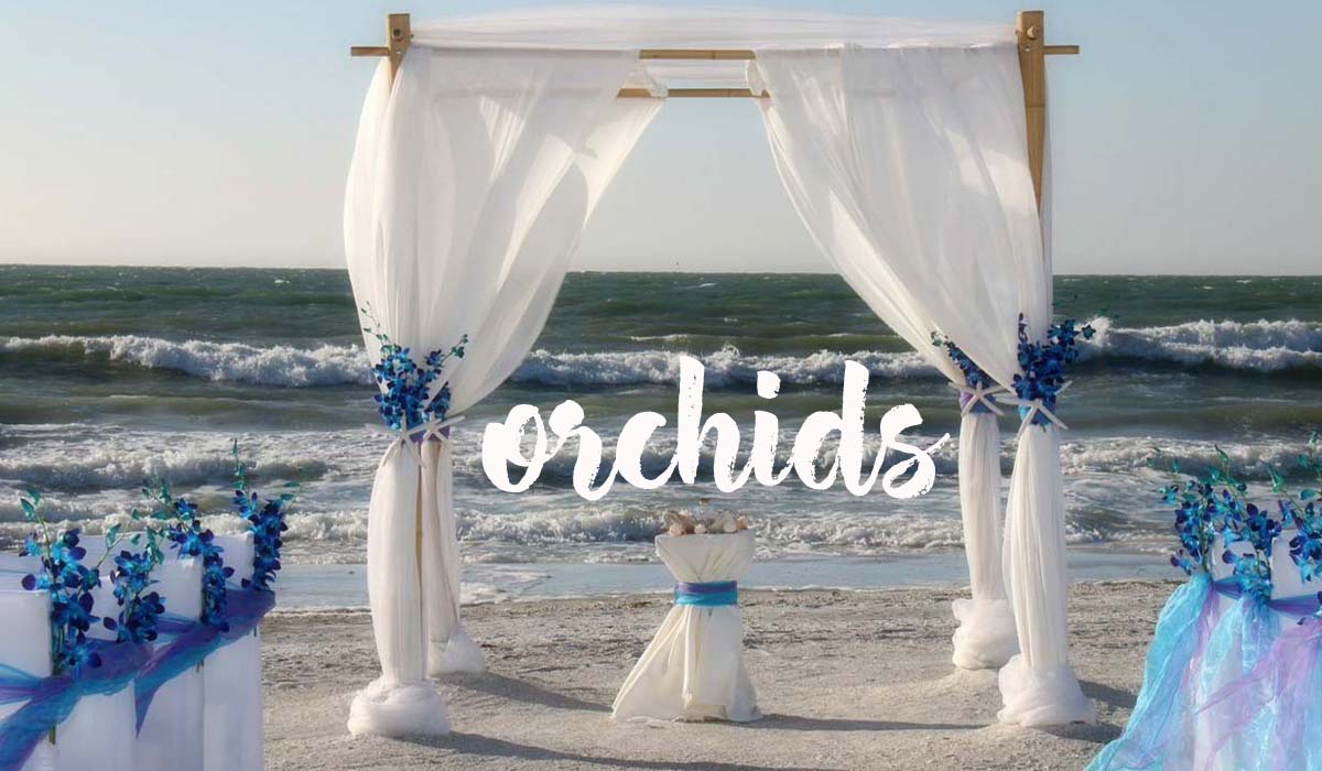 Florida beach wedding themes - orchids