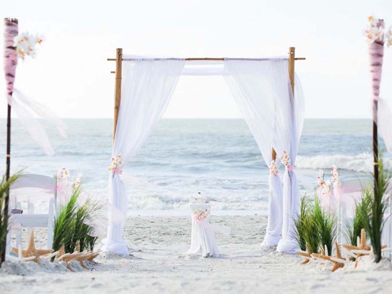 Orchid beach wedding theme