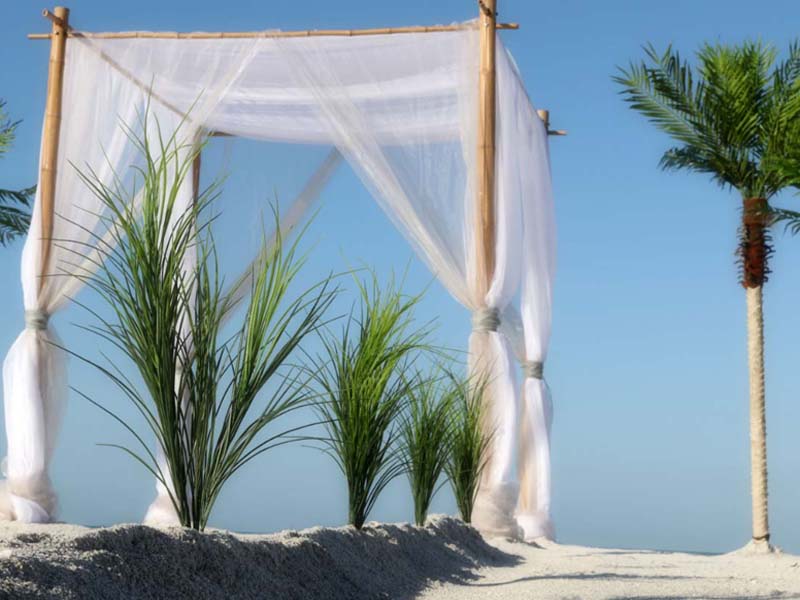 Ivory and white beach wedding theme