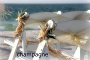 Florida beach wedding themes and colors