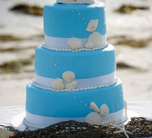 Florida beach wedding receptions on the beach