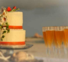 Florida beach wedding receptions on the beach