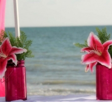 stargazers to edcorate stargazers to edcorate