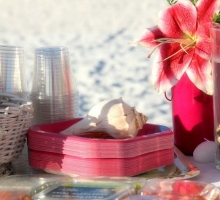 sun and sand reception paper goods sun and sand reception paper goods